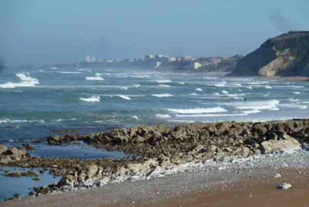 Appartamento Bidart Cote Basque T3 250 Metres De La Plage 3*** Esterno foto